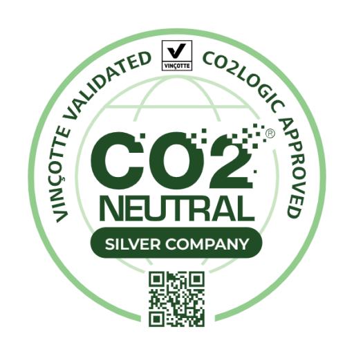 Logo Silver company